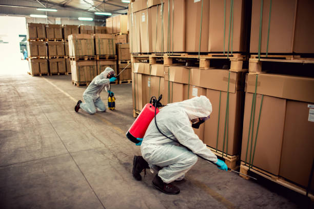 Best Pest Control for Homes  in Duchesne, UT