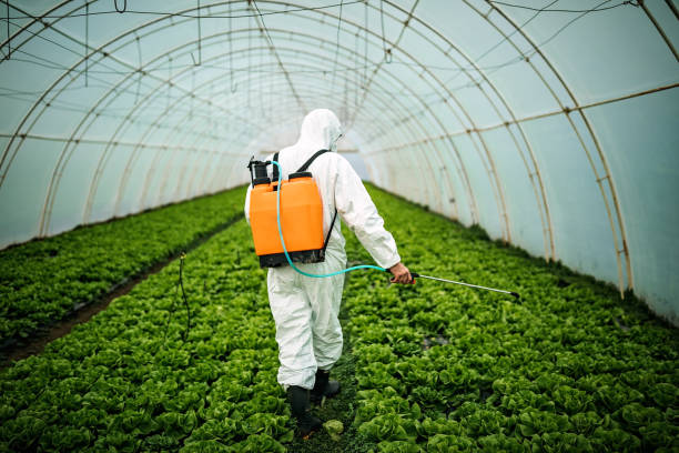 Best Pest Inspection Near Me  in Duchesne, UT