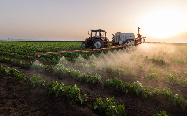 Best Pest Control for Businesses  in Duchesne, UT