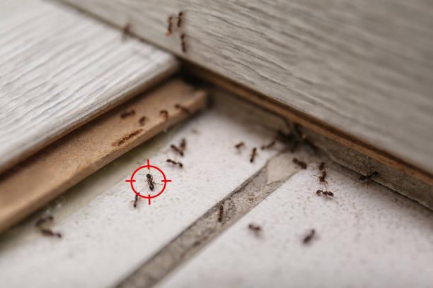  Duchesne, UT Pest Control Pros