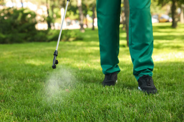 Best Residential Pest Control  in Duchesne, UT