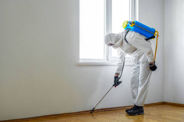 Best Pest Control Near Me  in Duchesne, UT