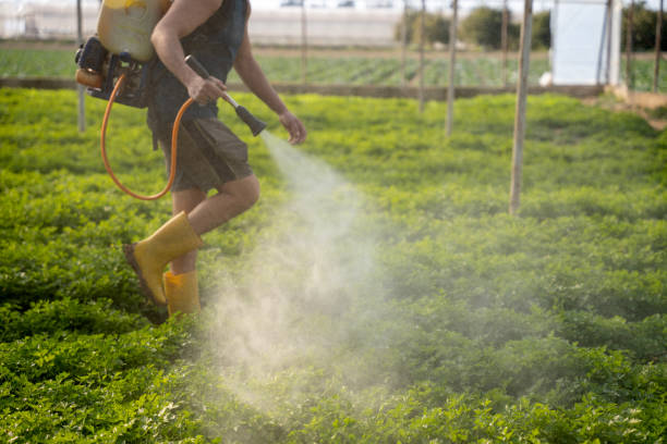 Best Emergency Pest Control  in Duchesne, UT