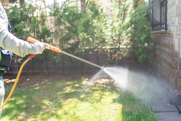 Best Pest Removal Services  in Duchesne, UT