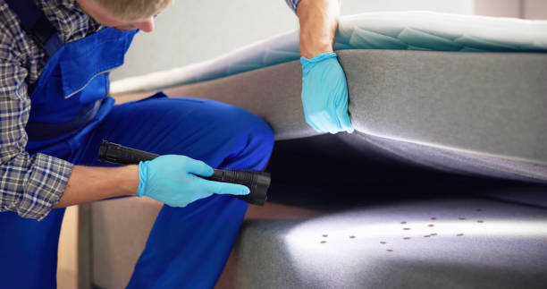 Best Mosquito Control Services  in Duchesne, UT