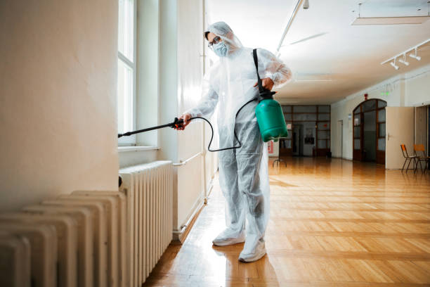 Best Flea Control Services  in Duchesne, UT