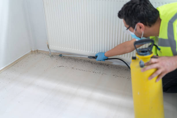 Best Local Pest Control Services  in Duchesne, UT