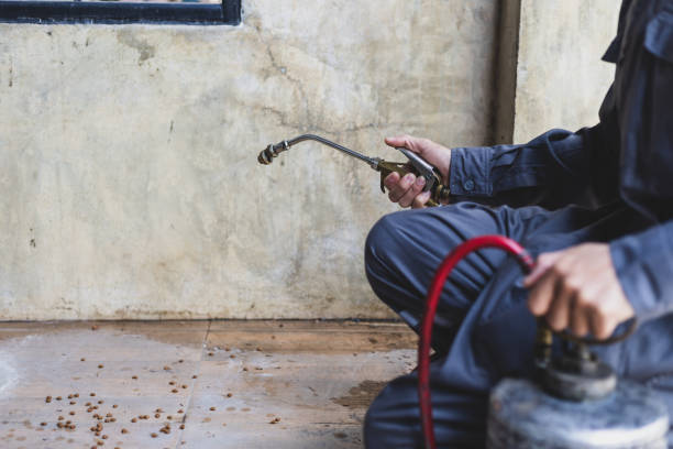Best Commercial Pest Control Services  in Duchesne, UT
